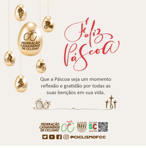 COPA HANS FISCHER